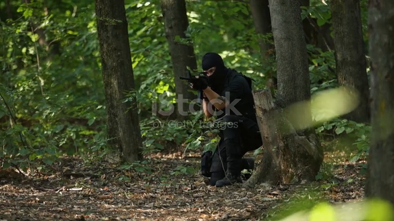 Weapon brandishing detection frame