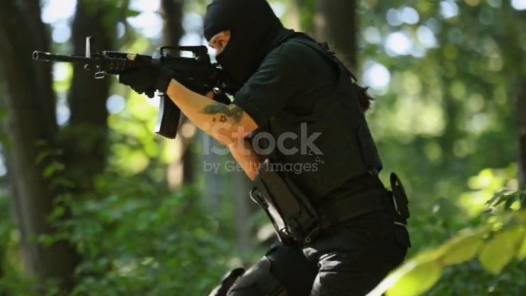 Weapon brandishing detection frame